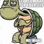 Turtle | SET A LOW BAR FOR YOURSELF; ~MEI WANG | image tagged in turtle | made w/ Imgflip meme maker