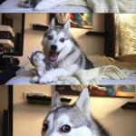 Husky joke