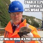 Post Brexit Britain | CHARLIE ELPHICKE REVEALS IN HIS WOAD HELMET; TOOLS WE WILL BE USING IN A POST BREXIT BRITAIN | image tagged in charlie elphicke mp,woad,brexit | made w/ Imgflip meme maker