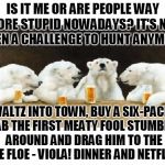 what do polar bears talk about at the bar? | IS IT ME OR ARE PEOPLE WAY MORE STUPID NOWADAYS? IT'S NOT EVEN A CHALLENGE TO HUNT ANYMORE; WALTZ INTO TOWN, BUY A SIX-PACK, GRAB THE FIRST MEATY FOOL STUMBLING AROUND AND DRAG HIM TO THE ICE FLOE - VIOLA! DINNER AND NETFLIX! | image tagged in polar bears drinking beer,memes,stupid people | made w/ Imgflip meme maker