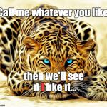 I think that the big cat is playing with me... and not in a cute way. | Call me whatever you like; then we'll see if I like it... I | image tagged in big cat | made w/ Imgflip meme maker