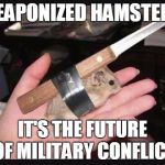 Lock and Load Hamster | WEAPONIZED HAMSTERS:; IT'S THE FUTURE OF MILITARY CONFLICT | image tagged in lock and load hamster,memes,military,war,political memes | made w/ Imgflip meme maker