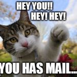Hey You! Hey... hey | HEY YOU!!       
         HEY! HEY! YOU HAS MAIL... | image tagged in hey you hey hey | made w/ Imgflip meme maker