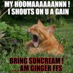 Scottish summer.. ginger cat... | MY HOOMAAAAAANNN !   I SHOUTS ON U A GAIN; BRING SUNCREAM ! . . . AM GINGER FFS | image tagged in yelling cat,scotland,ginger | made w/ Imgflip meme maker
