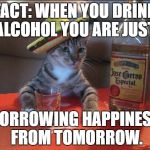 drunk cat | FACT: WHEN YOU DRINK ALCOHOL YOU ARE JUST; BORROWING HAPPINESS FROM TOMORROW. | image tagged in drunk cat | made w/ Imgflip meme maker