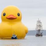 Oversized Duck