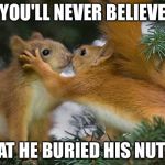 Squirrel Secrets - A Squirrel & Filth Week Combo | YOU'LL NEVER BELIEVE; WHAT HE BURIED HIS NUTS IN | image tagged in squirrel secrets,memes,funny,squirrel week,nsfw filth week | made w/ Imgflip meme maker