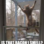 Every time.... | IS THAT BACON I SMELL? | image tagged in cat screen,smell,iwanttobebacon,iwanttobebaconcom | made w/ Imgflip meme maker