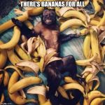 monkey bananas | THERE'S BANANAS FOR ALL | image tagged in monkey bananas | made w/ Imgflip meme maker