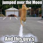 Rocket cat | Cow.              jumped over the Moon; And this guy's                going to Mars | image tagged in rocket cat | made w/ Imgflip meme maker