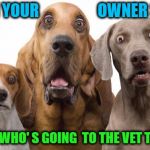Dogs Surprised | WHEN YOUR                   OWNER SAYS GUESS WHO' S GOING  TO THE VET TODAY ? | image tagged in dogs surprised | made w/ Imgflip meme maker