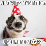 Happy birthday Derek  | WHAT ? IT'S MY BIRTHDAY; U GOT MORE CAKE??? | image tagged in happy birthday derek | made w/ Imgflip meme maker