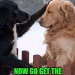 dogs | I WILL PRAY FOR YOU, HONEST; NOW GO GET THE MILK BONES | image tagged in dogs | made w/ Imgflip meme maker