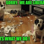 guiltydogs | SORRY,  WE ARE LIBERALS; ITS WHAT WE DO ! | image tagged in guiltydogs | made w/ Imgflip meme maker