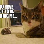 You have got to be kidding me. | YOU HAVE GOT TO BE KIDDING ME... | image tagged in you have got to be kidding me,funny cat memes,cat meme,grumpy cat | made w/ Imgflip meme maker