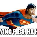 Where are they? | FLYING PIGS. HA HA | image tagged in supermac punch,no to flying pigs,we dont need them,memes,dogs,cats | made w/ Imgflip meme maker