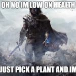 Mordor | OH NO IM LOW ON HEALTH; LET ME JUST PICK A PLANT AND IM READY | image tagged in mordor | made w/ Imgflip meme maker