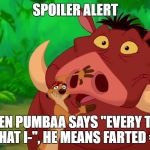 Hakuna Matata Alert | SPOILER ALERT; WHEN PUMBAA SAYS "EVERY TIME THAT I-", HE MEANS FARTED =) | image tagged in hakuna matata alert | made w/ Imgflip meme maker