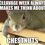 Squirrel Philosopher | CLEAVAGE WEEK ALWAYS MAKES ME THINK ABOUT; CHESTNUTS | image tagged in squirrel philosopher,memes,funny,squirrel week | made w/ Imgflip meme maker