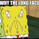 spongbobs sons supprising thing | WHY THE LONG FACE | image tagged in spongbobs sons supprising thing | made w/ Imgflip meme maker