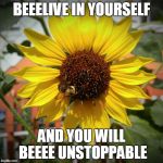 Sunflower and Bee | BEEELIVE IN YOURSELF; AND YOU WILL BEEEE UNSTOPPABLE | image tagged in sunflower and bee | made w/ Imgflip meme maker