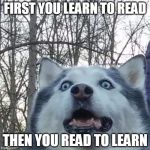 Crazy Husky is Crazy | FIRST YOU LEARN TO READ; THEN YOU READ TO LEARN | image tagged in crazy husky is crazy | made w/ Imgflip meme maker