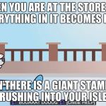 boat dog | WHEN YOU ARE AT THE STORE AND EVERYTHING IN IT BECOMES FREE. THEN THERE IS A GIANT STAMPEDE RUSHING INTO YOUR ISLE | image tagged in boat dog | made w/ Imgflip meme maker
