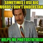 I do this way too often... | SOMETIMES I USE BIG WORDS I DON'T UNDERSTAND; IT HELPS ME PHOTOSYNTHESIS | image tagged in anchorman doesn't make any sense | made w/ Imgflip meme maker
