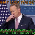 Spicer's job summed up in one sentence | THAT LOOK YOU GET; WHEN THE BOSS FARTS AND YOU GOTTA PRETEND IT DOESN'T SMELL | image tagged in sean spicer | made w/ Imgflip meme maker