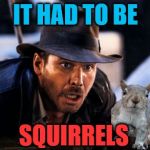 Squirrels, I hate squirrels | IT HAD TO BE; SQUIRRELS | image tagged in indiana jones snakes,squirrel week | made w/ Imgflip meme maker