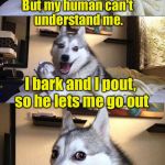 Limerick Week (a MnMinPhx event) | I know this is hard to believe. But my human can't understand me. I bark and I pout, so he lets me go out; But I really just want *him* to leave. | image tagged in bad pun dog,limerick week | made w/ Imgflip meme maker