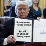 Donald Trump Executive Order | Roses are red, violets are blue; I'm still in office,
so phooey to you | image tagged in donald trump executive order | made w/ Imgflip meme maker
