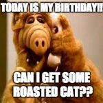 alf | TODAY IS MY BIRTHDAY!! CAN I GET SOME ROASTED CAT?? | image tagged in alf | made w/ Imgflip meme maker