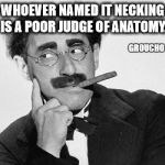 Next time you go necking with your favorite mate, just tell them Groucho sent you | WHOEVER NAMED  IT NECKING IS A POOR JUDGE OF ANATOMY. GROUCHO MARX | image tagged in quote,groucho marx,memes | made w/ Imgflip meme maker