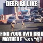 Oh Deer.... | DEER BE LIKE; GO FIND YOUR OWN BRIDGE, MOTHER F*%&#^@! | image tagged in deer cross sf bridge,memes,animals | made w/ Imgflip meme maker