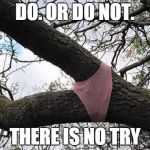 Tree Crotch Panty | DO. OR DO NOT. THERE IS NO TRY | image tagged in tree crotch panty | made w/ Imgflip meme maker