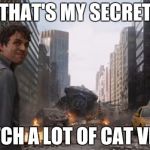 Avengers Bruce Banner Angry Secret | THAT'S MY SECRET; I WATCH A LOT OF CAT VIDEOS | image tagged in avengers bruce banner angry secret | made w/ Imgflip meme maker
