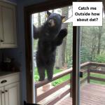 Catch Me Outside Bear