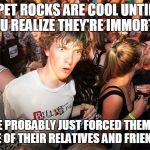 Sudden Clarity Clarence Large | PET ROCKS ARE COOL UNTIL YOU REALIZE THEY'RE IMMORTAL; AND YOU'VE PROBABLY JUST FORCED THEM TO WATCH EVERY ONE OF THEIR RELATIVES AND FRIENDS DIE OFF | image tagged in sudden clarity clarence large | made w/ Imgflip meme maker