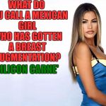 Sofia Vergara's Soul | WHAT DO YOU CALL A MEXICAN GIRL WHO HAS GOTTEN A BREAST AUGMENTATION? SILICON CARNE' | image tagged in sophia vergara,breasts,boob jobs,mexican,funny,funny memes | made w/ Imgflip meme maker