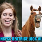 Kedar Joshi | PRINCESS BEATRICE LOOK-ALIKE | image tagged in kedar joshi,princess beatrice,horse face,funny horse face,lookalike | made w/ Imgflip meme maker