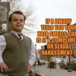 dwarf | IF A DWARF TELLS YOU YOUR HAIR SMELLS GOOD IS IT A COMPLIMENT OR SEXUAL HARASSMENT ? | image tagged in dwarf,compliment,insult,sexual harassment,funny,funny memes | made w/ Imgflip meme maker