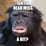 should be a near hit | ISN'T A NEAR MISS, A HIT? | image tagged in confusedbonobo,meme,confused | made w/ Imgflip meme maker