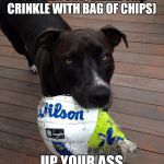 scumbag dog | YOU SCREAM HIS NAME, HE IGNORES YOU, (MAKE TINY CRINKLE WITH BAG OF CHIPS); UP YOUR ASS IMMEDIATLY | image tagged in scumbag dog | made w/ Imgflip meme maker