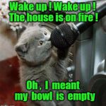 Cat microphone | Wake up ! Wake up ! The house is on fire ! Oh ,  I  meant  my  bowl  is  empty | image tagged in cat microphone | made w/ Imgflip meme maker