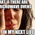 First World Problems Meme | WHAT IF THERE ARE NO MICROWAVE OVENS IN MY NEXT LIFE | image tagged in memes,first world problems | made w/ Imgflip meme maker