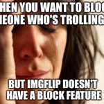 Double Goes For There Being No Edit Button For Comments | WHEN YOU WANT TO BLOCK SOMEONE WHO'S TROLLING YOU BUT IMGFLIP DOESN'T HAVE A BLOCK FEATURE | image tagged in crying,block,trolling | made w/ Imgflip meme maker