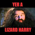 Hagrid | YER A; LIZARD HARRY | image tagged in hagrid | made w/ Imgflip meme maker