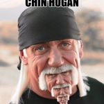 Chin Hogan | CHIN HOGAN | image tagged in hulk chin,memes,cats,dogs,funny,all the good tags here top okay | made w/ Imgflip meme maker