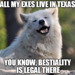 And Texas is a place i dearly love to be! | ALL MY EXES LIVE IN TEXAS; YOU KNOW, BESTIALITY IS LEGAL THERE | image tagged in gta san andreas | made w/ Imgflip meme maker